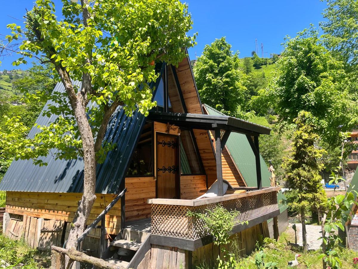 Yasam Bungalows Otel Çamlıhemşin Extérieur photo
